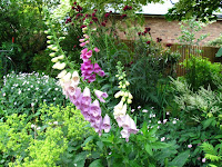 Lovely gardens on the walk