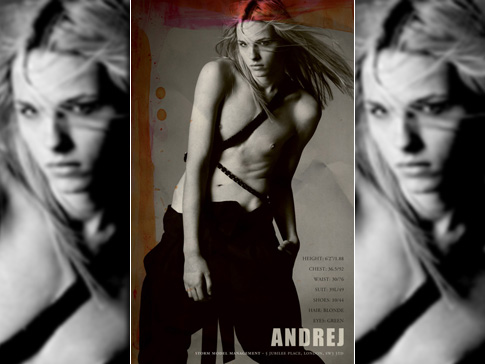 andrej pejic model gay