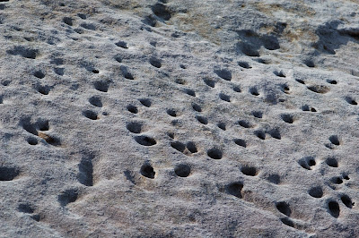 limestone pavement elgol
