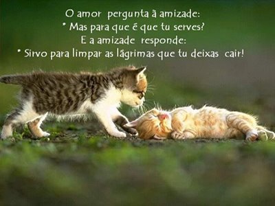 [o+amor.bmp]
