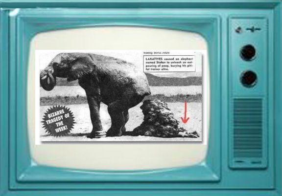 [tv+generalista.bmp]