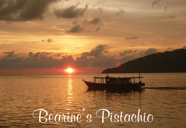 Bearine's Pistachio