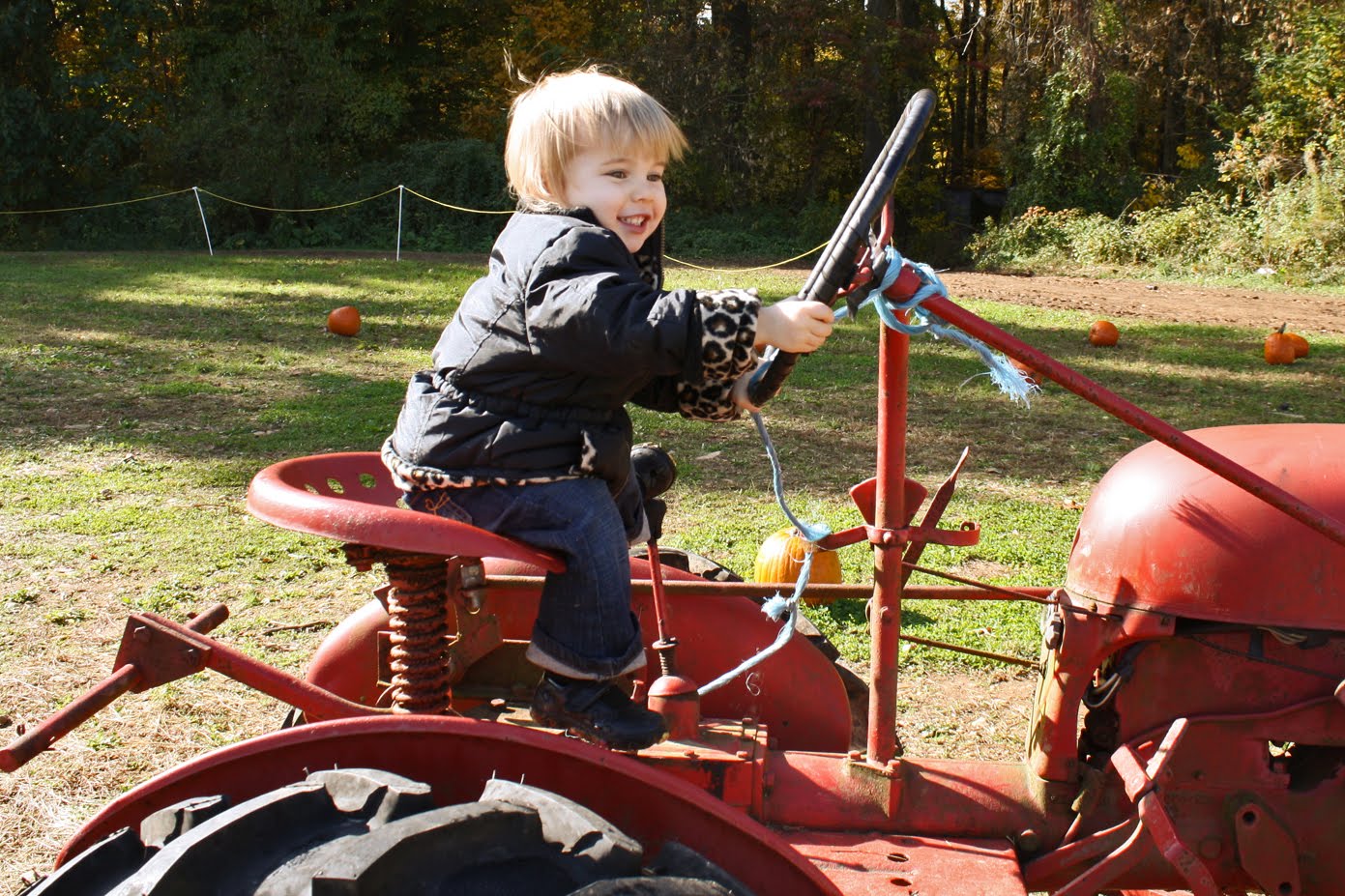 [#Sophie+on+the+tractor.jpg]