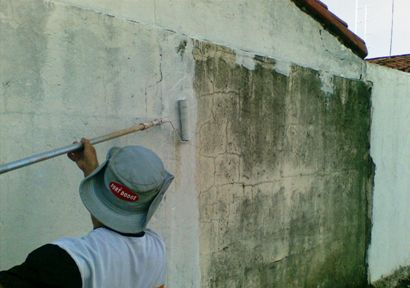 pintando o muro externo da casa