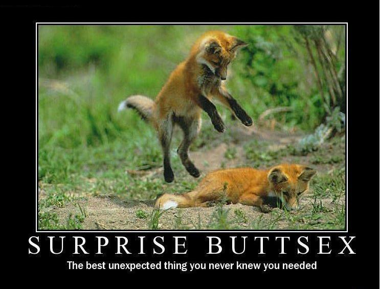 http://4.bp.blogspot.com/_kXnVoQ9ZFkQ/SXf8bfqJclI/AAAAAAAAHEI/6IZNdahq7iU/s1600/surprisebuttsex.jpg