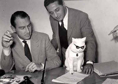 I'm totally getting a cat and putting shades on it and have it kill me in my sleep. it's a none pornographic picture of two men in suits, with a cat on the table, wearing some cool shades