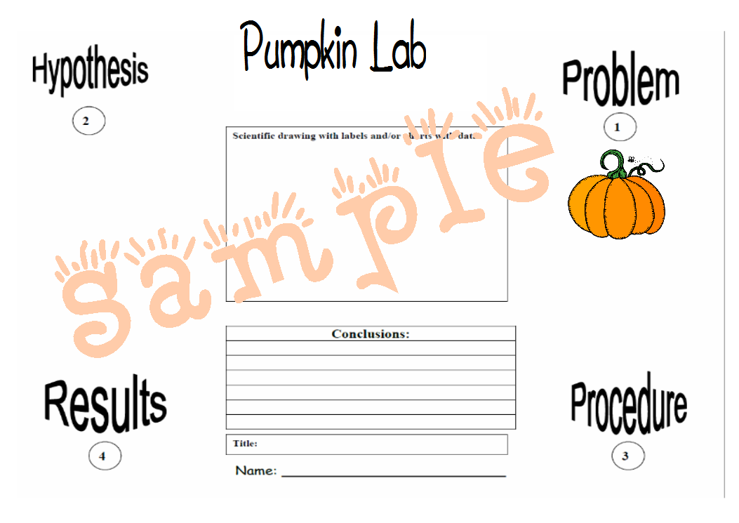 Teched Out Teacher Working on a Pumpkin Seed Science Lab