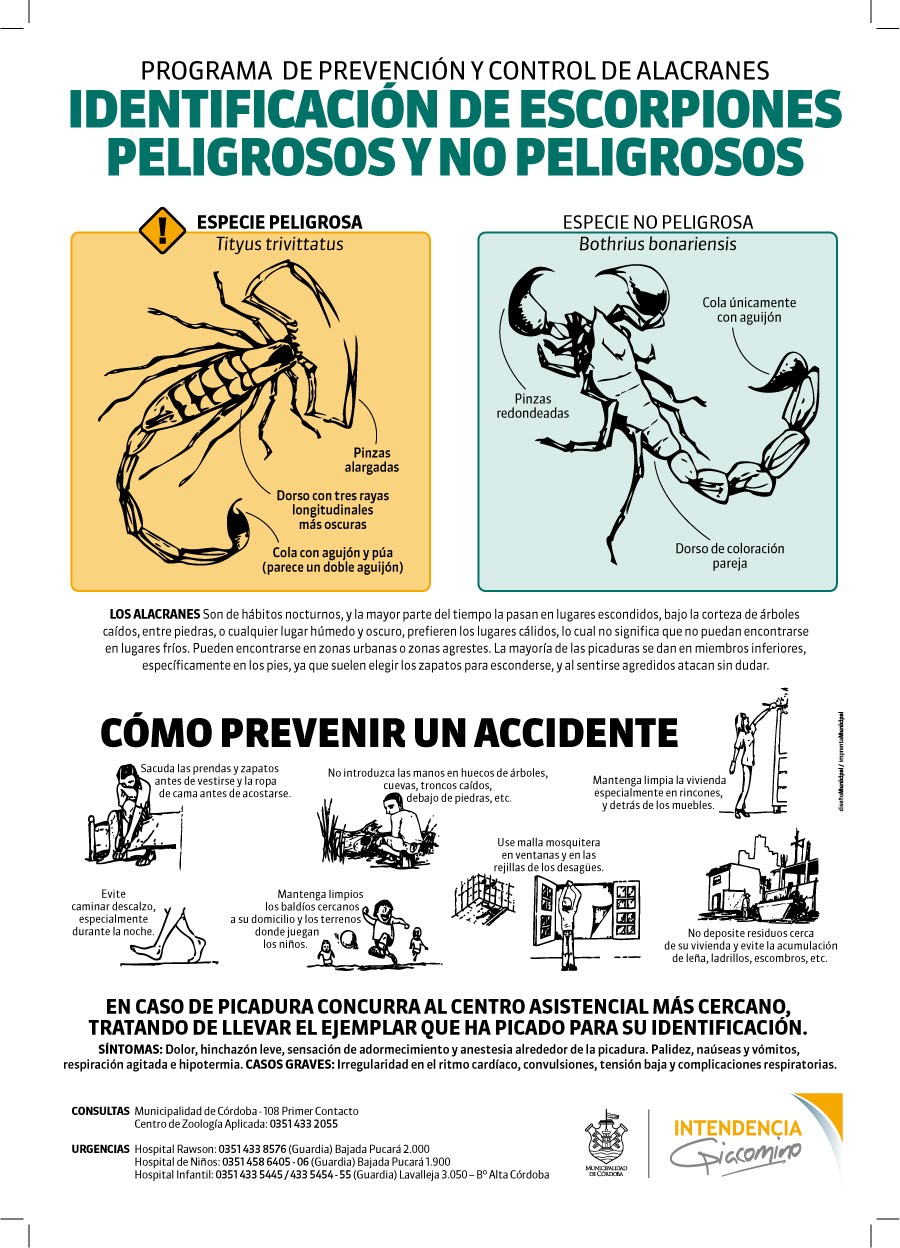 Ha dejado a fumar se repones por qué
