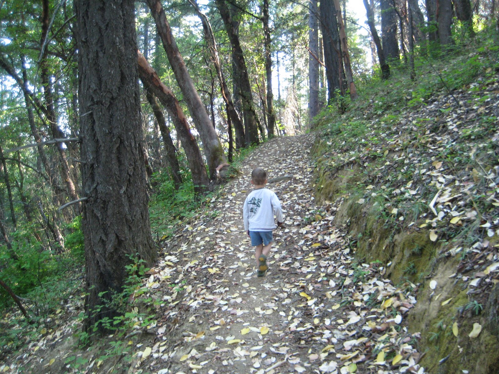 [IMG_7148.JPG]