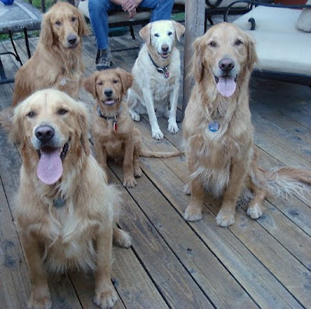 The Boys and Sunny(someone has to keep the boys in line!)