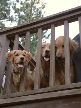 Boys on the Deck