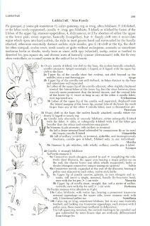 Example Page from Hitchcock and Cronquist