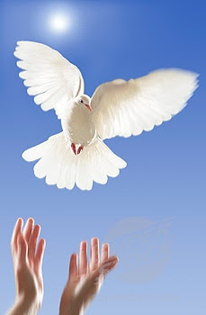 Dove Freedom Symbol