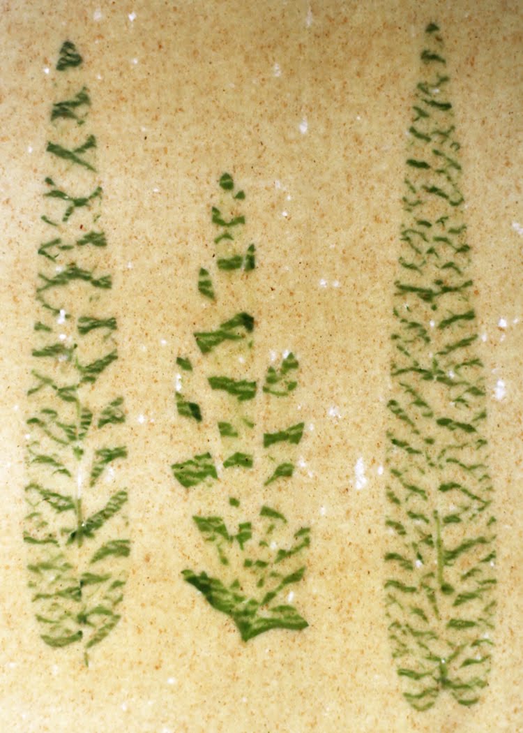 your apples are my oranges pressed herb and flower pasta with garlic