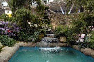 [pool-at-the-minnesota-home-garden-show.jpg]