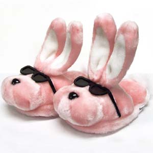 [eb+slippers.jpg]