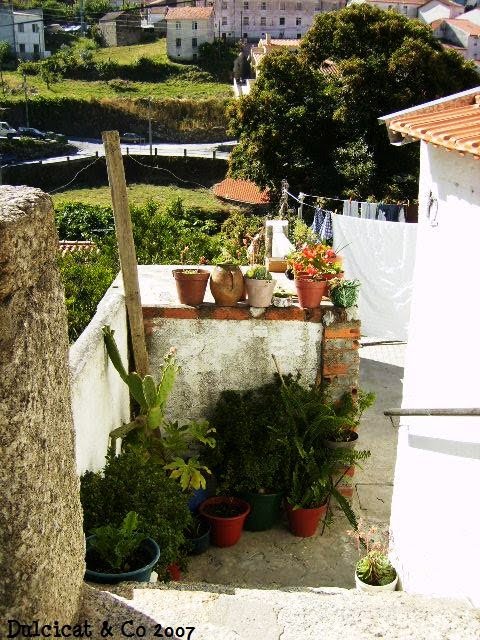 [P8250099.jpg]