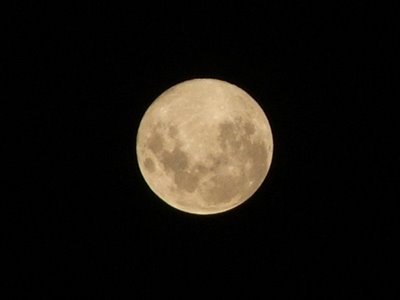 [lua+026.jpg]
