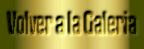 VOLVE GALERIA