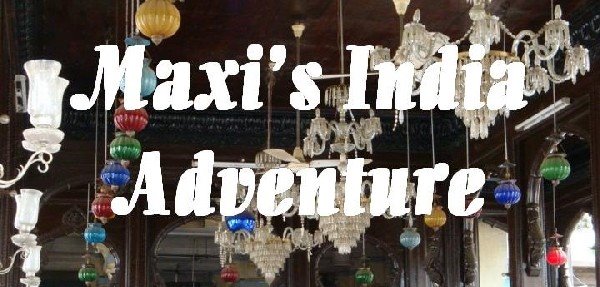 Maxi's India Adventure