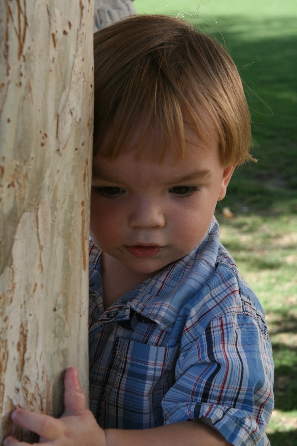 [Ronan+in+Getty+Garden.JPG]