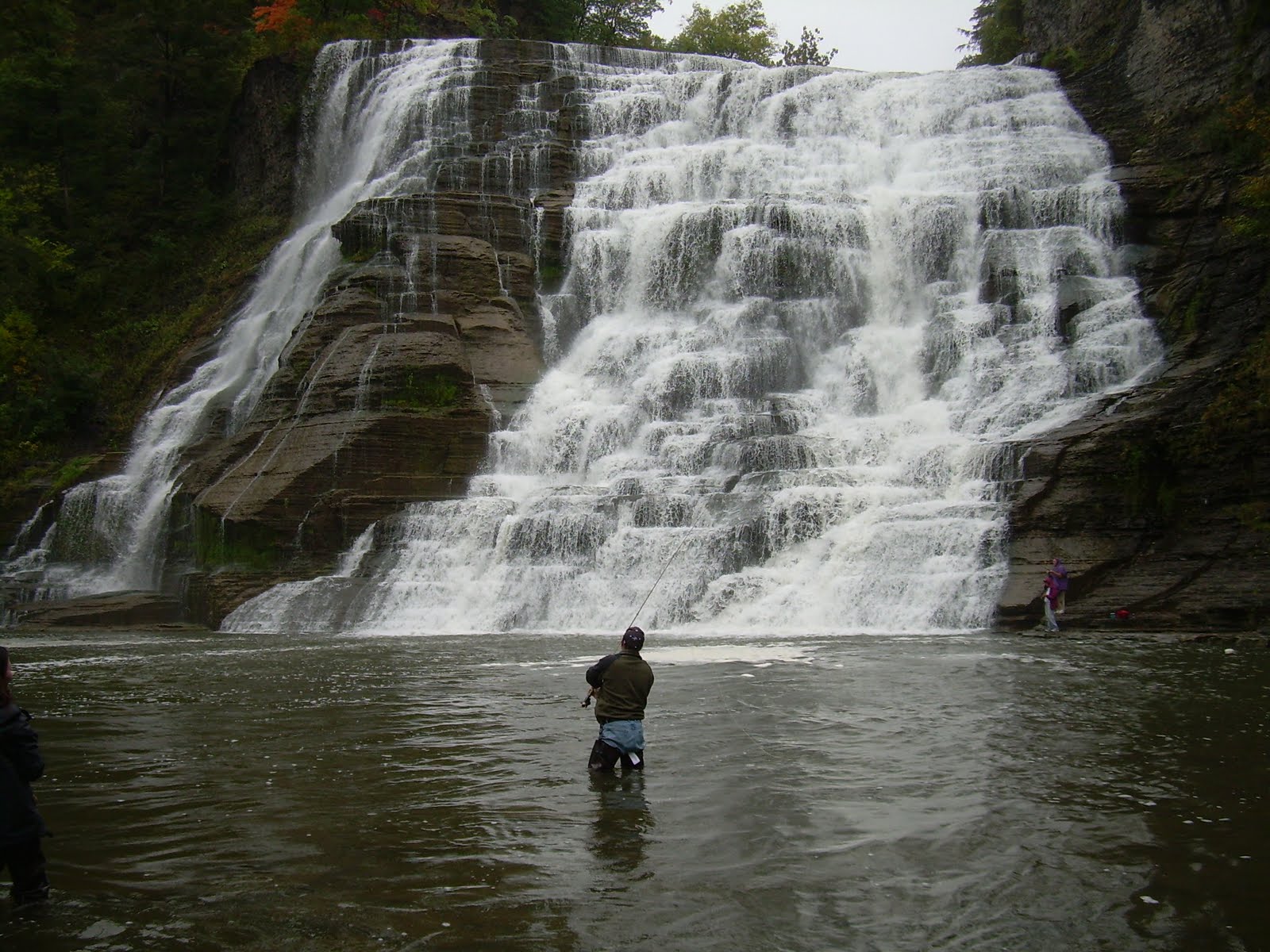 [DSCN2994.JPG]