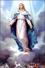 Live Miracle of Mother Mary மாதாவின் அதிசய காட்சி