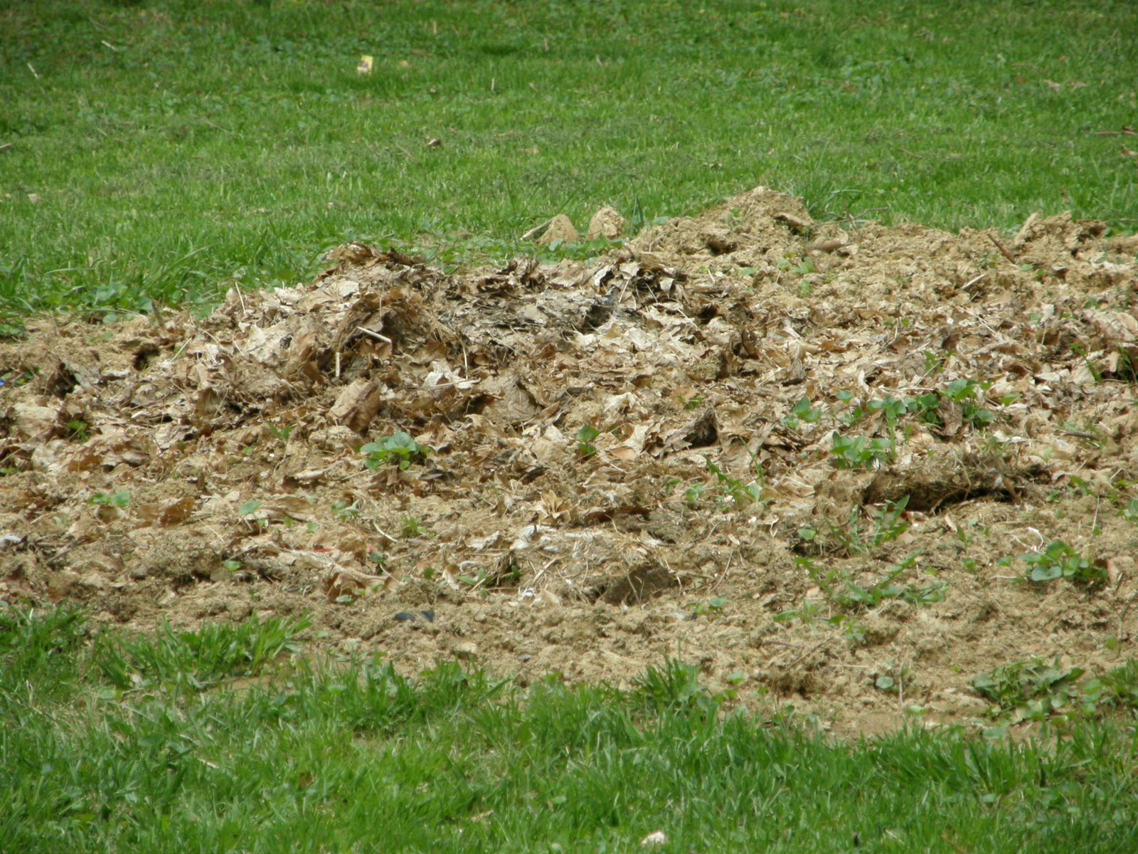 [P4180249.JPG]