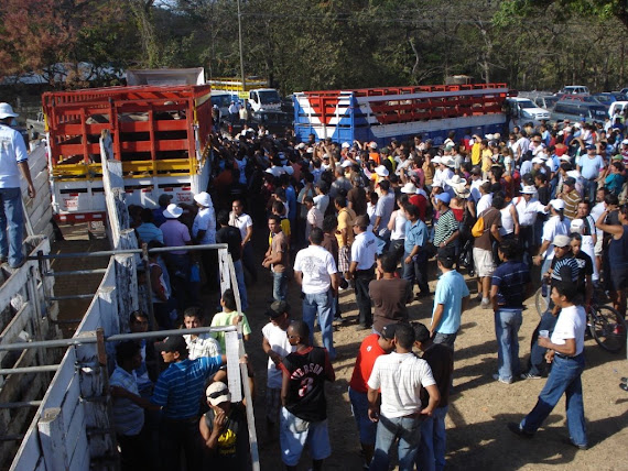Nicoya, 7 febrero 09
