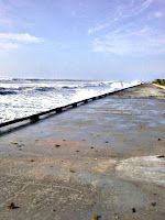 view looking southerly toward Mexico