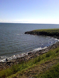 from the top of the hill