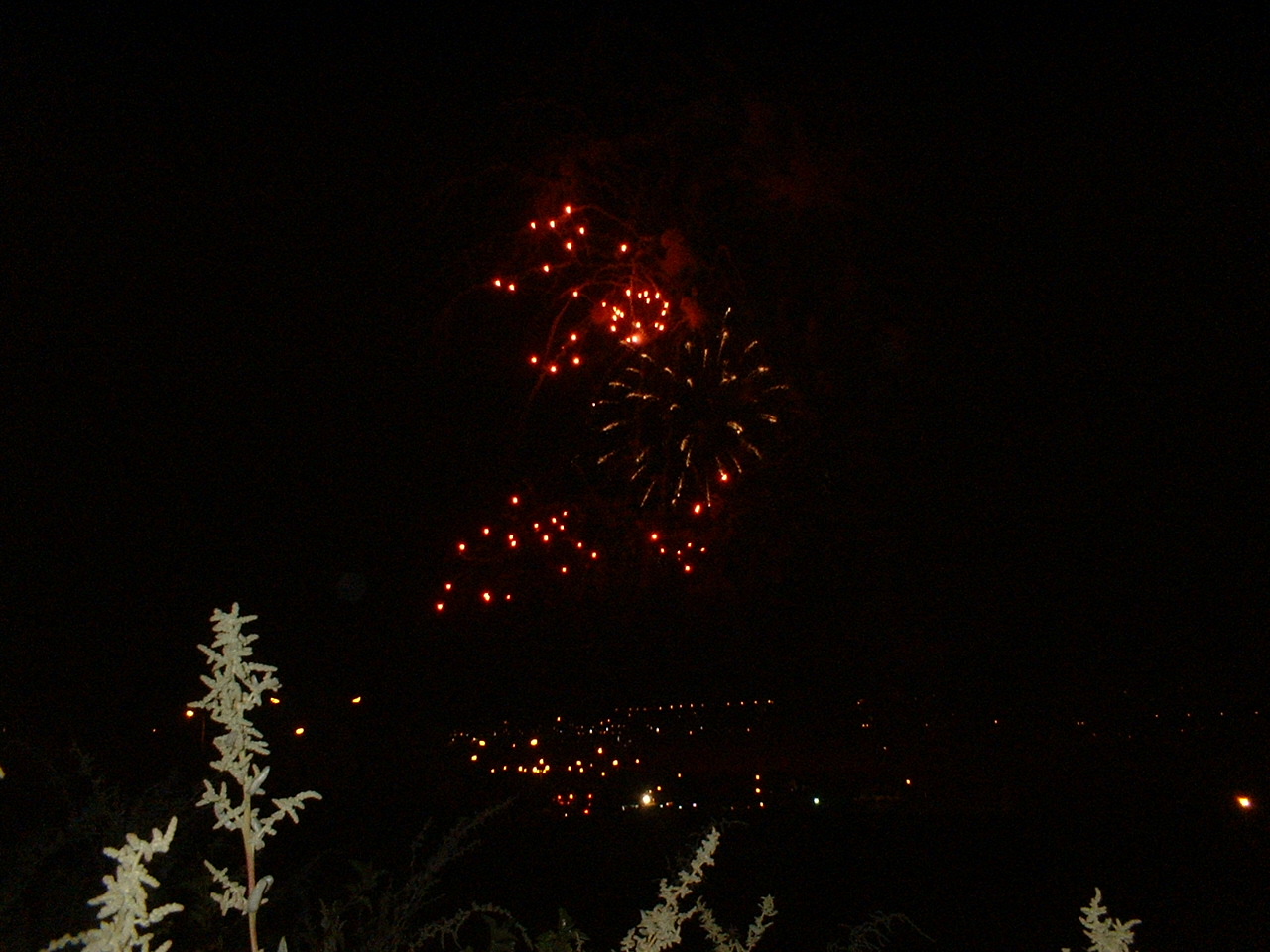 [DSCF0211.JPG]