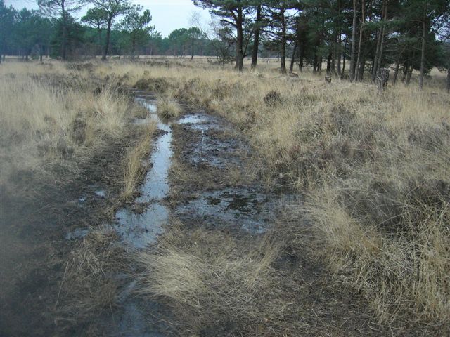 [Water+Logged+Path+after+heavy+rain+.jpg]