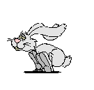 [coelho01.gif]