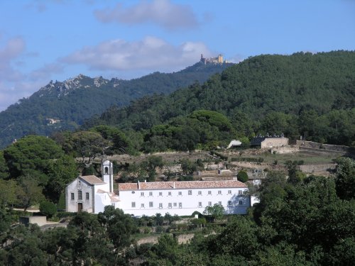 [Covento+Carmo.JPG]