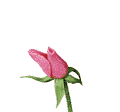 [n_blu033.gif]