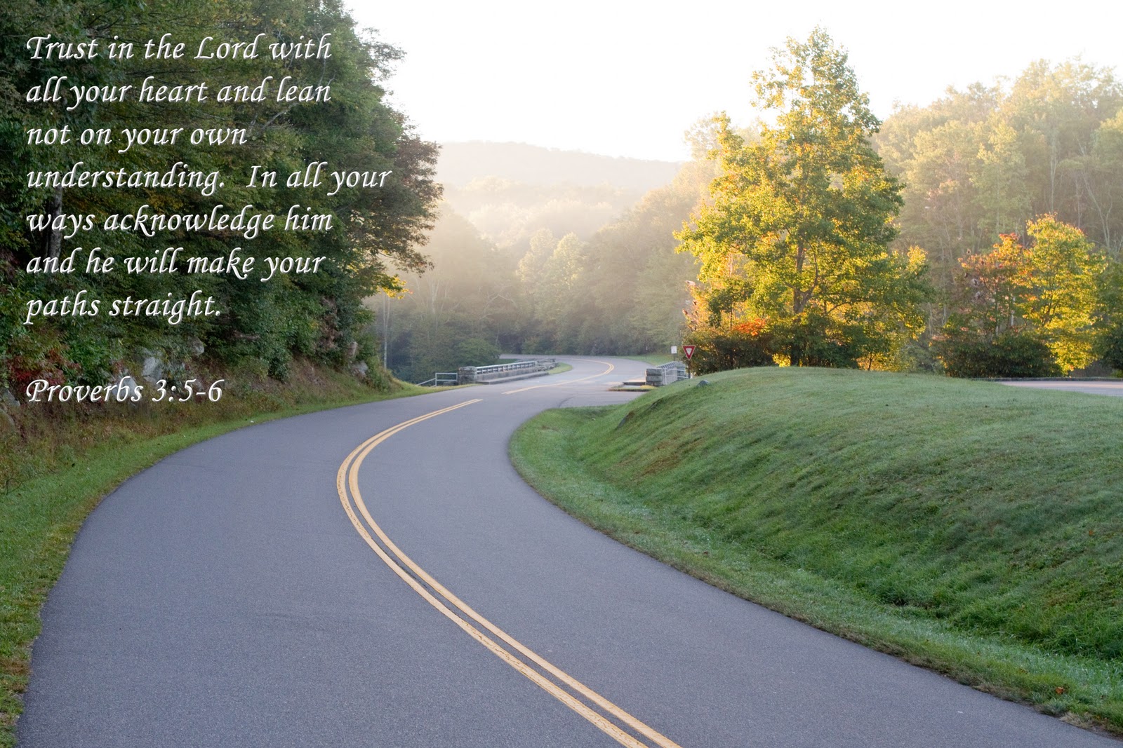 Proverbs 3 5