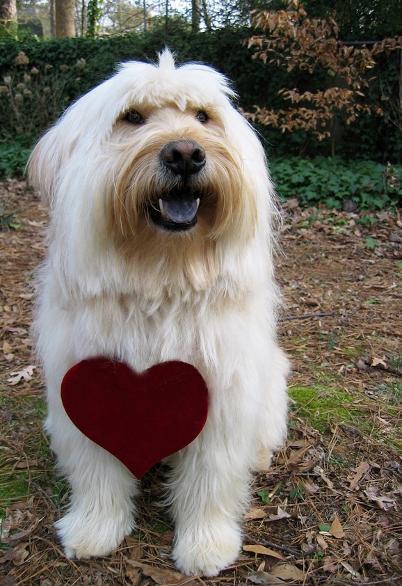 [Edward+Valentine2.jpg]