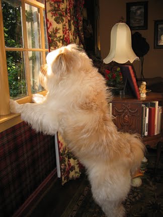 Watching and Waiting