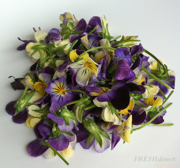 Viola Edible flowers