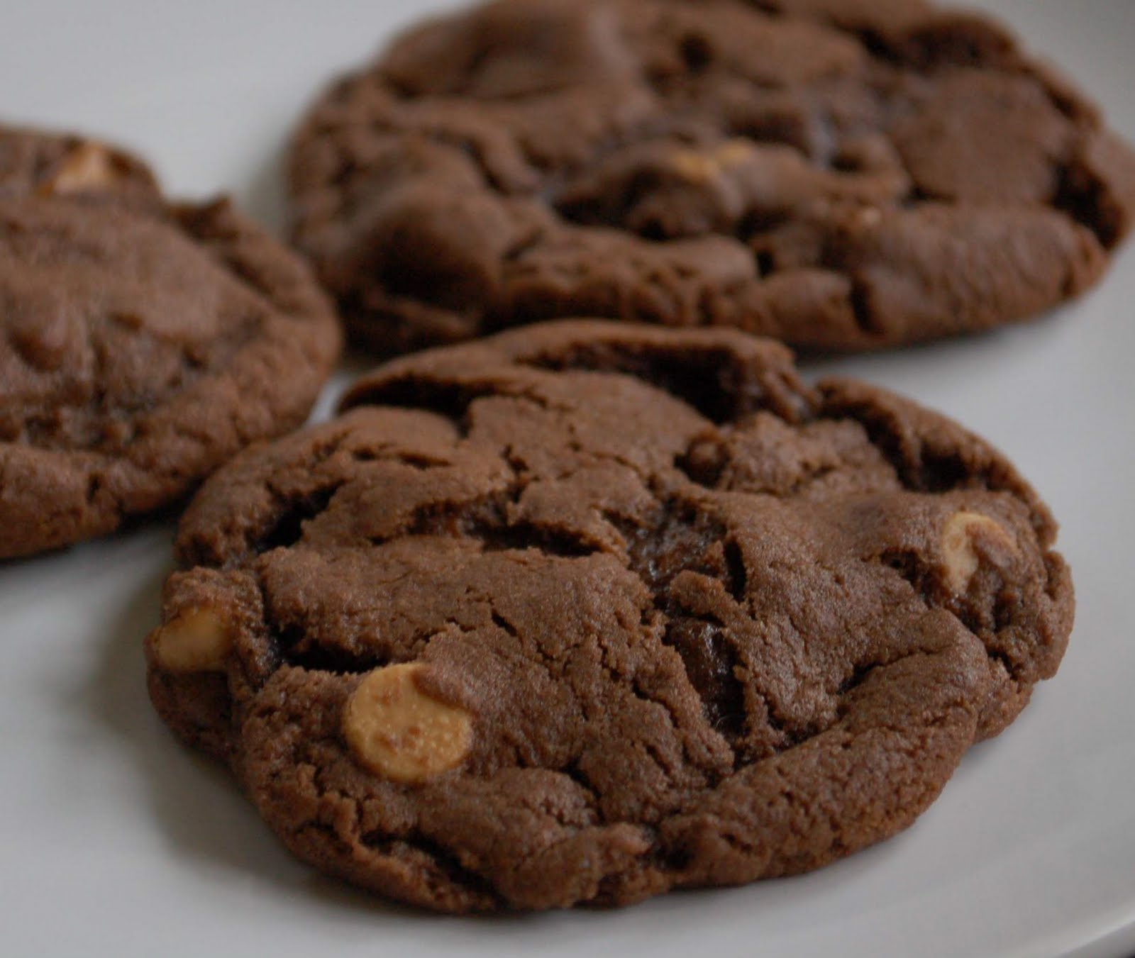 Chocolate Cookies with Peanut Butter chips lightinleaves