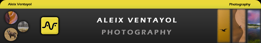 Ventayol Fotografía
