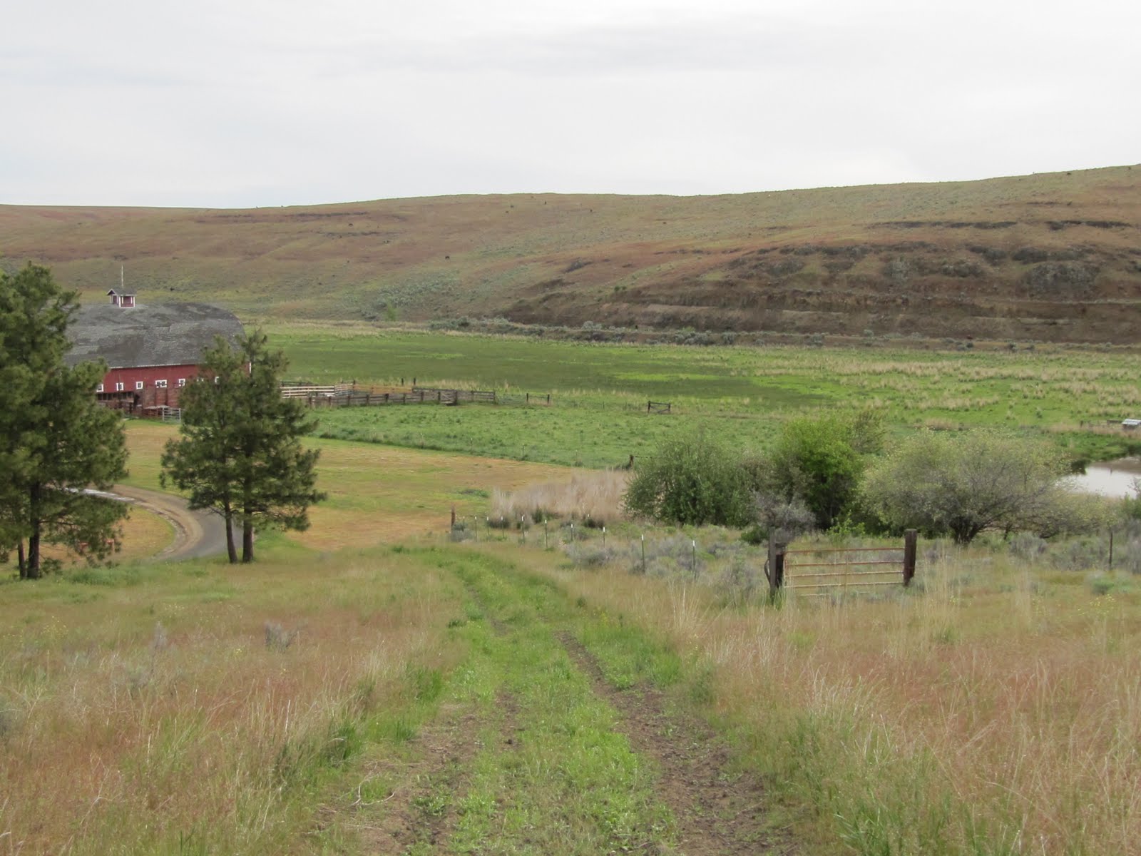 A Year Of Finding Love Grass Valley, Eastern Oregon...