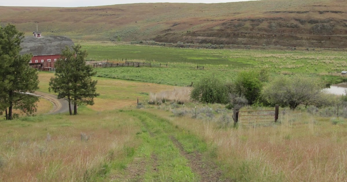 A Year Of Finding Love Grass Valley, Eastern Oregon...
