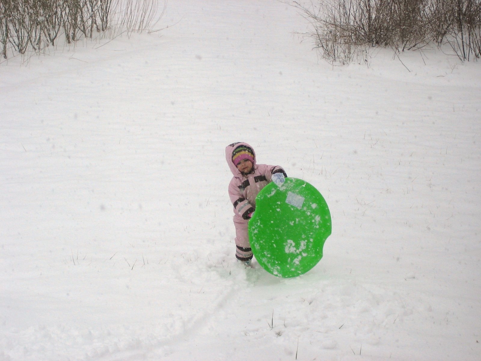 [IMG_4459.JPG]