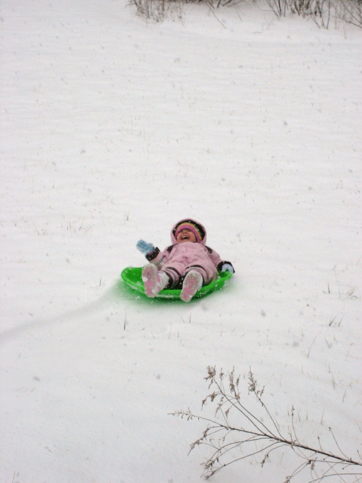[IMG_4449.JPG]