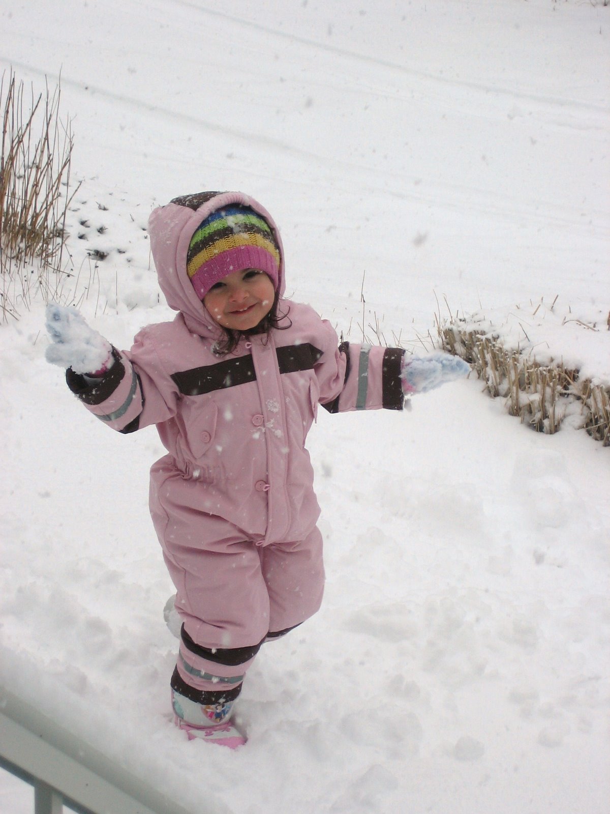 [IMG_4469.JPG]