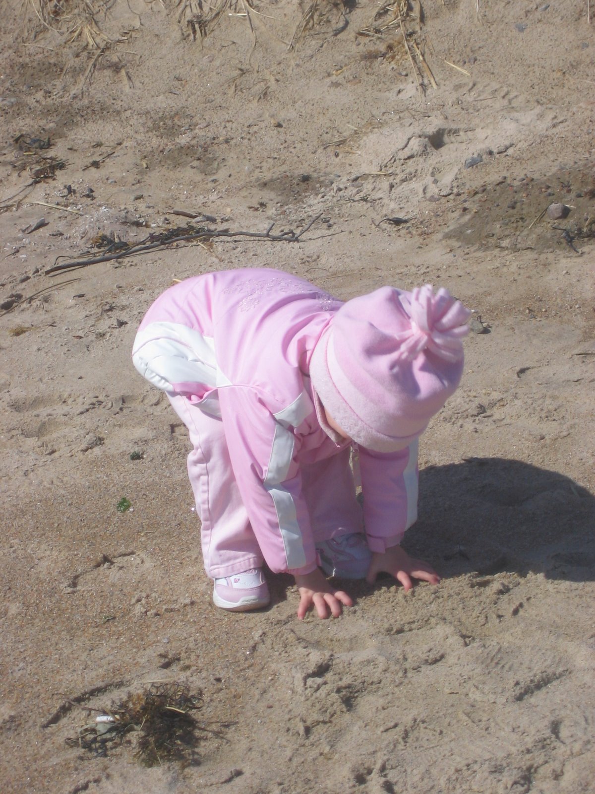 [IMG_1148.JPG]