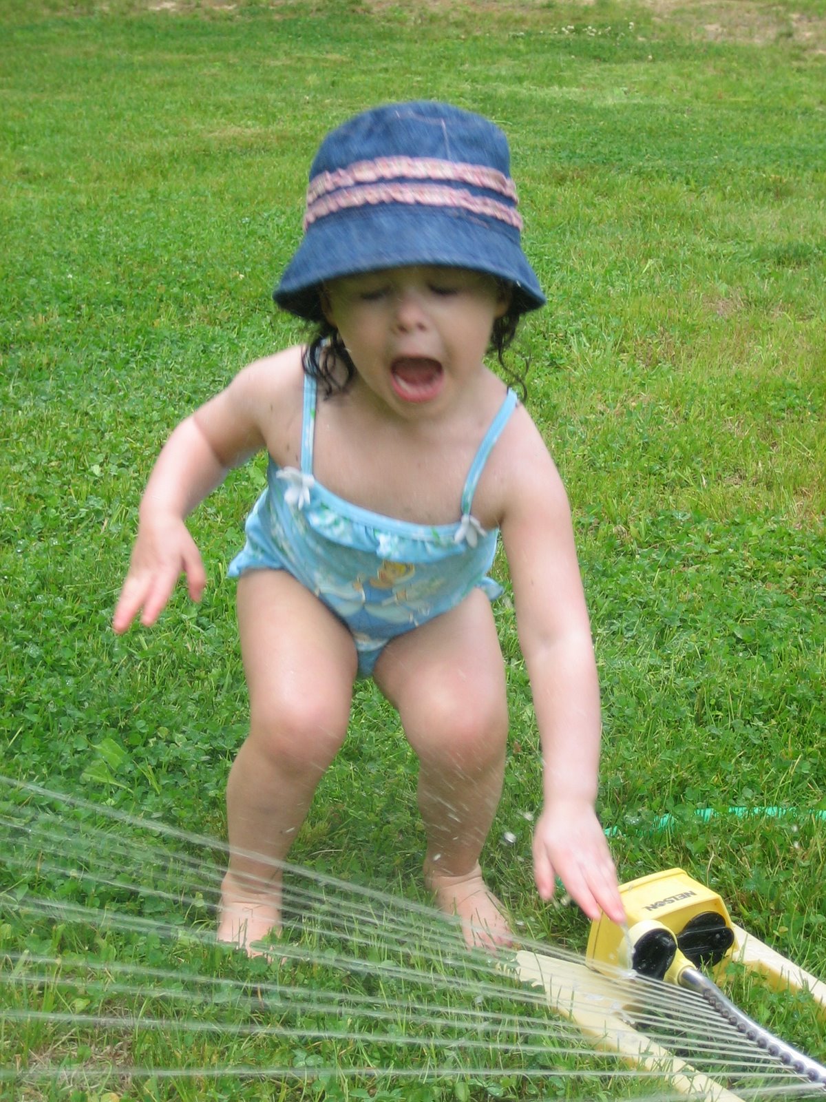 [IMG_2400.JPG]
