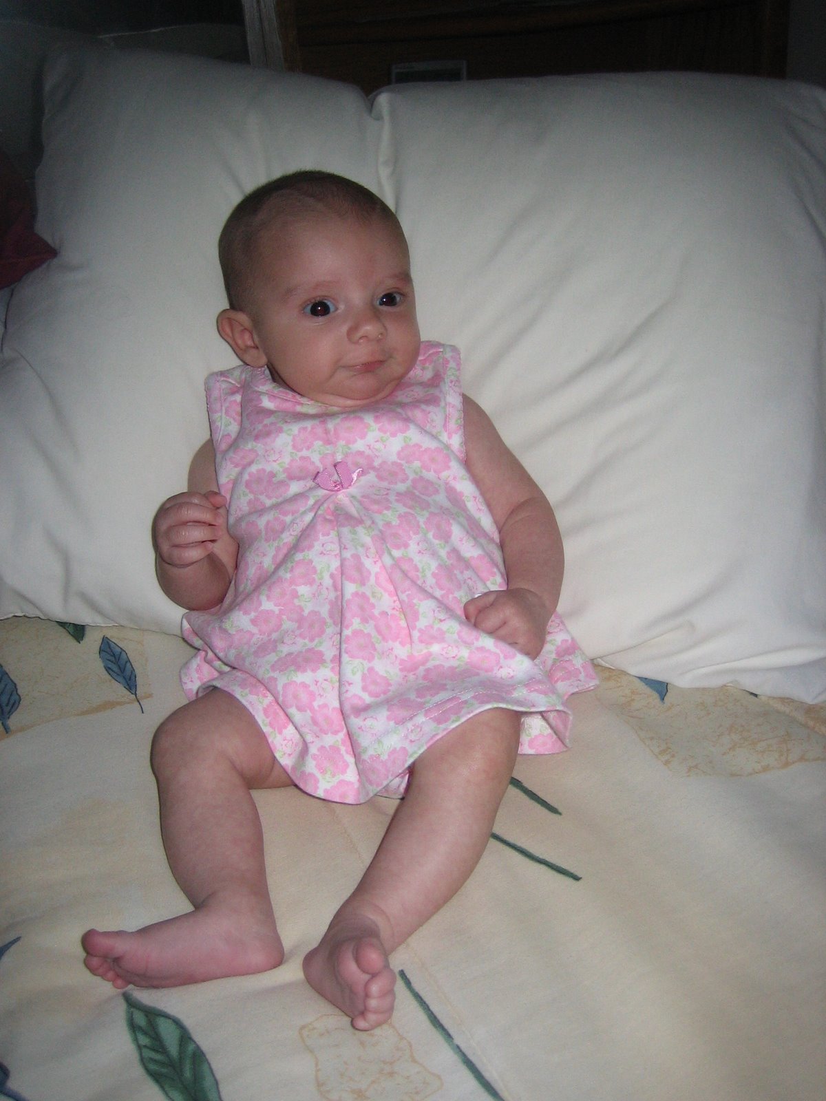 [IMG_2732.JPG]